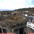 14_40-nest.jpg