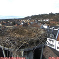 14_45-nest.jpg