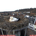 15_05-nest.jpg