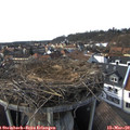 15_55-nest.jpg