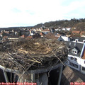 16_00-nest.jpg