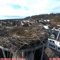 16_05-nest.jpg