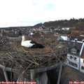 16_20-nest.jpg