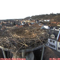 16_50-nest.jpg