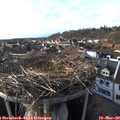 17_10-nest.jpg