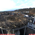 17_15-nest.jpg