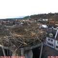 17_25-nest.jpg