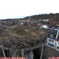 17_35-nest.jpg