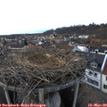 17_40-nest.jpg