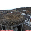 17_45-nest.jpg