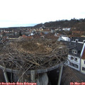 17_55-nest.jpg