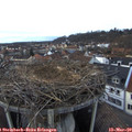 18_00-nest.jpg