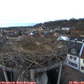 18_05-nest.jpg