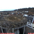 18_10-nest.jpg