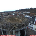 18_15-nest.jpg