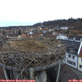 06_50-nest.jpg