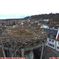 07_00-nest.jpg