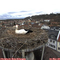10_20-nest.jpg