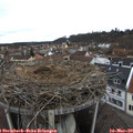 11_20-nest.jpg