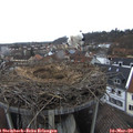 12_05-nest.jpg