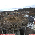 13_55-nest.jpg