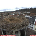 14_00-nest.jpg