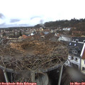 15_00-nest.jpg