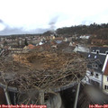 15_05-nest.jpg