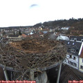 17_35-nest.jpg