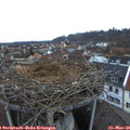 06_40-nest.jpg