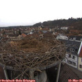 06_45-nest.jpg