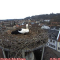 07_40-nest.jpg