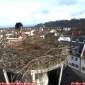 08_40-nest.jpg