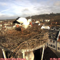 08_55-nest.jpg