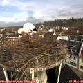 09_05-nest.jpg