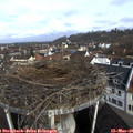 09_15-nest.jpg