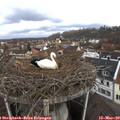 10_05-nest.jpg