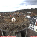 12_35-nest.jpg