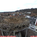 13_25-nest.jpg