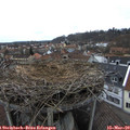 13_35-nest.jpg