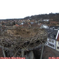 13_50-nest.jpg