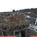 14_05-nest.jpg