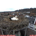 14_20-nest.jpg