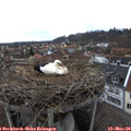 14_25-nest.jpg