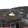 14_40-nest.jpg