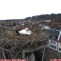 14_45-nest.jpg