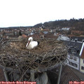 15_05-nest.jpg