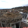 16_25-nest.jpg