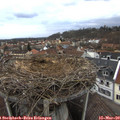 16_45-nest.jpg