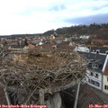 16_55-nest.jpg